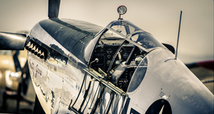 Warbird - P-51 Mustang